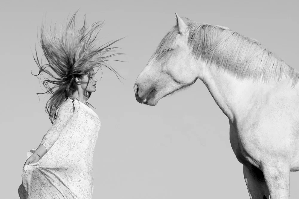 ANIMALS PHOTOGRAPHY GALLERY